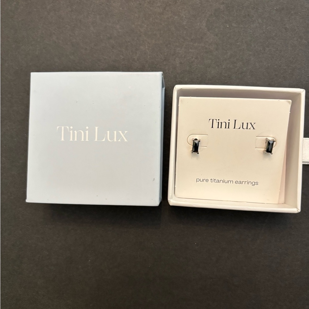 Tini Lux Pure Titanium Stud Earrings